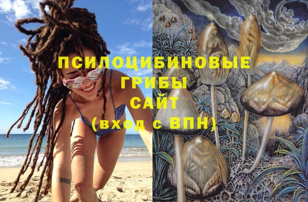 молекула духа Алексеевка