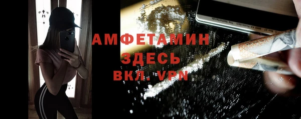 шишки Алексин