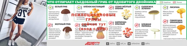 шишки Алексин