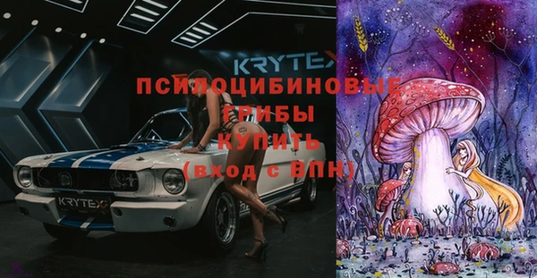 шишки Алексин