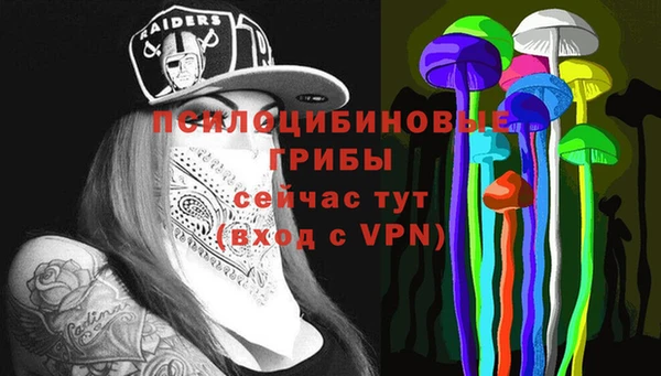 a pvp Алзамай