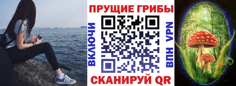 Псилоцибиновые грибы GOLDEN TEACHER  Чусовой 